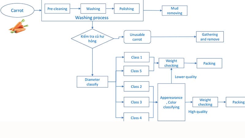 images/1652427809541carrot grader1.jpg